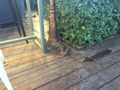 -有才叔的小馆(招商依云曲江店)