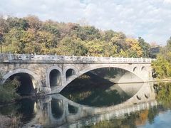 -杭州半山国家森林公园-龙山公园