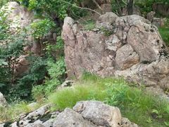 -玉泉威虎山森林公园