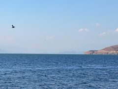 -大理洱海