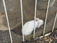 -福建鲤鱼洲酒店