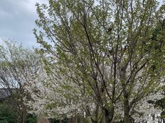 -祝甸砖窑文化馆