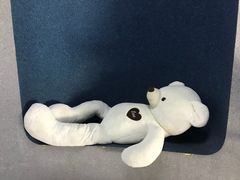 -Mr·Kuma酷么先生雪之乐园
