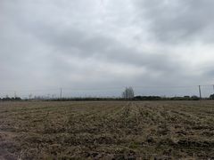 -嘉北郊野公园