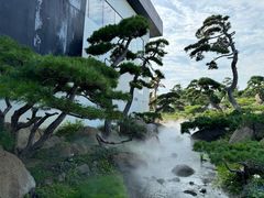 -罗红摄影艺术馆