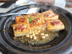 -客语客家菜(华发商都店)