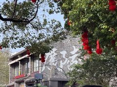 -粗茶淡饭(东关街店)