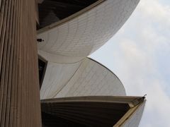 -悉尼歌剧院