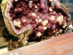 -正佳自然科学博物馆