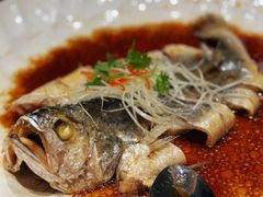 -青雅中餐厅(大连金石滩绿发希尔顿度假酒店)