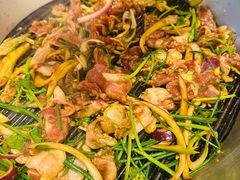 -揽月斋炙子烤肉·清真(安定门·五道营店)