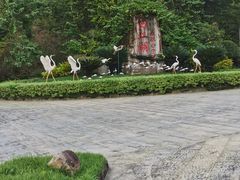 -广州白江湖森林公园