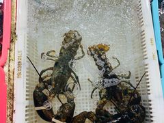 -霞涌市场海鲜摆卖区