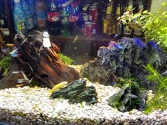 -潮汕良记牛肉火锅(洪武路店)