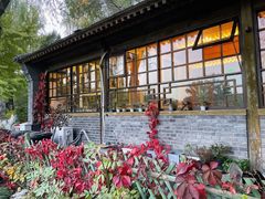 -三忘湖 SWANSEEN(柳荫公园店)