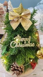 -敦南真爱月子会所(黄埔店)