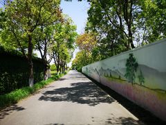 -嘉北郊野公园