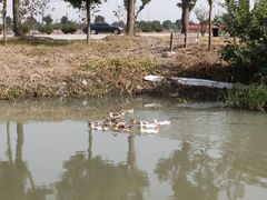 -乡乐园蟹庄·阳澄湖农家乐