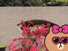 -广东圆玄道观