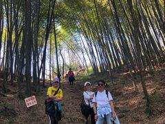 -西湖风景区十里琅珰-五云山