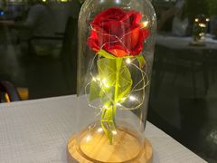 -深圳富苑皇冠假日套房酒店