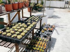 -禾气食店