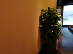 -東大方(海宁海昌路店)
