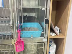 -艾贝尔宠物医院·24H转诊中心·肿瘤猫专科(江宁双龙店)