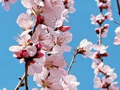 -中国中医科学院西苑医院(本部)