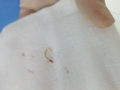 -美联众合动物医院·24h京西诊疗中心