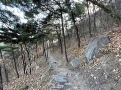 -北京鹫峰国家森林公园