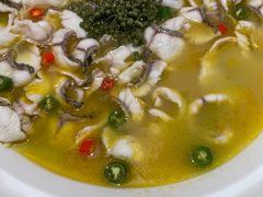 -青花椒花椒鱼(合生汇店)