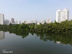 -金鸡岭桥头公园