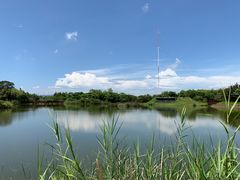 -福田红树林生态公园