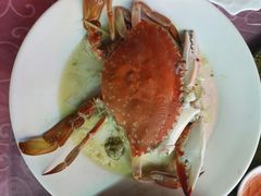 -龙溪海鲜酒家(溪涌店)