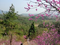 -天台山赤城山景区