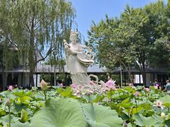 -白洋淀景区