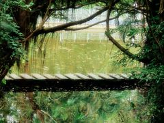 -燕晗山郊野公园