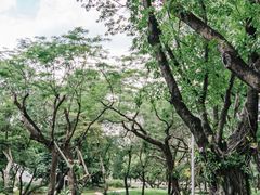 -人民公园(罗湖区)