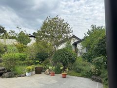 -春色如许·茶食餐厅(桃李春风店)