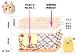 -维秘形体医美 M·VVON医生集团