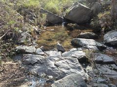 -鲁山国家森林公园