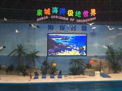 -泉城欧乐堡海洋极地世界