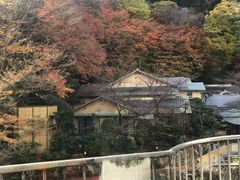 -月光园游月山庄
