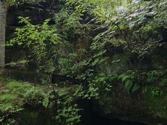 -汤旺河林海奇石景区