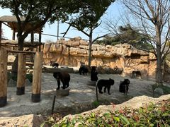 -上海野生动物园