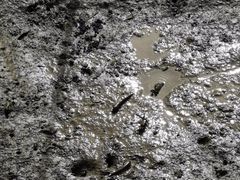 -东寨港红树林旅游区