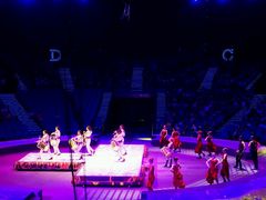 -珠海横琴长隆《卡卡虎奇遇记》