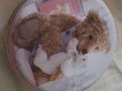 -珍妮曲奇聪明小熊(尖沙咀店)