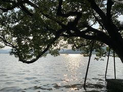-湖畔居茶楼(湖滨店)